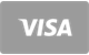 Płatność kartą Visa w Lanista Casino
